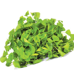 Fresh Gotukola